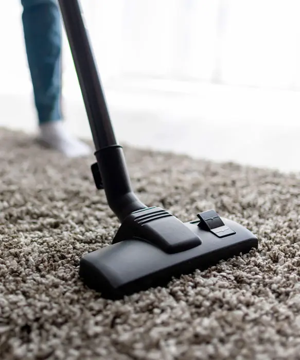 lavado de alfombras a domicilio